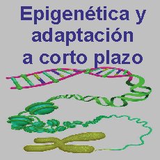 epigenetica