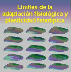 plasticidadfenotipica