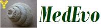 MedEvo