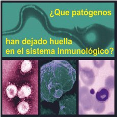 patogenos
