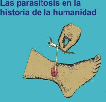 historia_parasitos